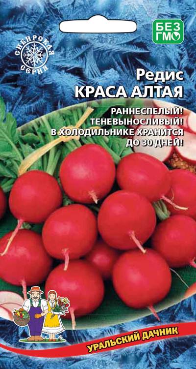 Редис Краса Алтая