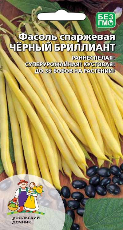 Фасоль спаржевая - Черный Бриллиант