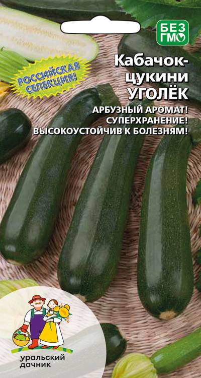 Кабачок Уголек - цуккини