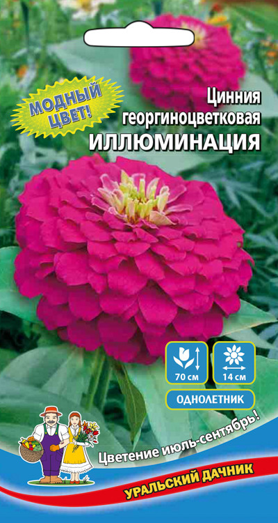 Цинния георгиноцветковая Иллюминация