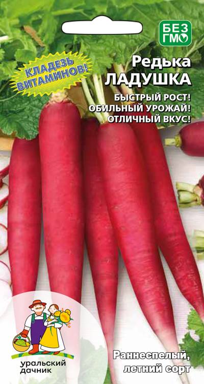Редька Ладушка