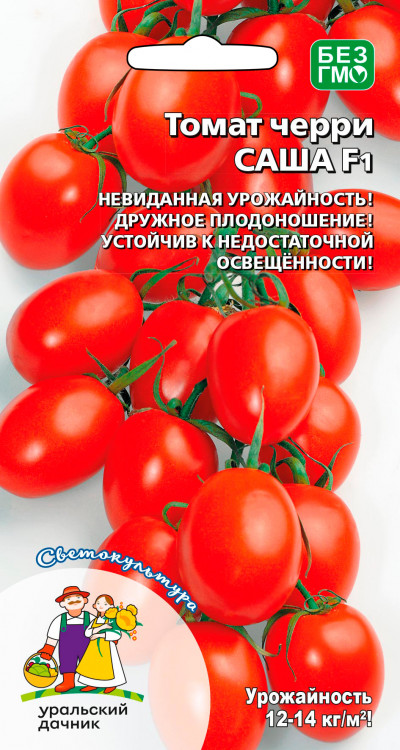 Томат Саша F1 черри
