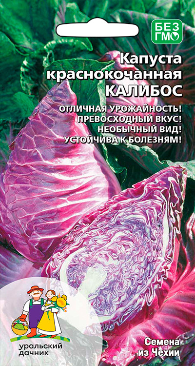 Капуста краснокочанная Калибос