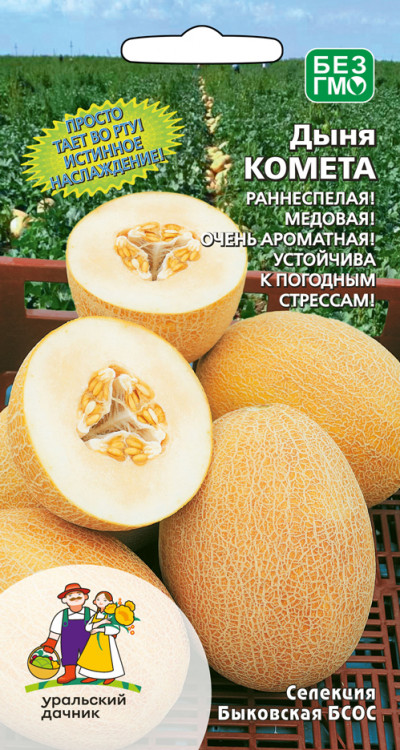 Дыня Комета