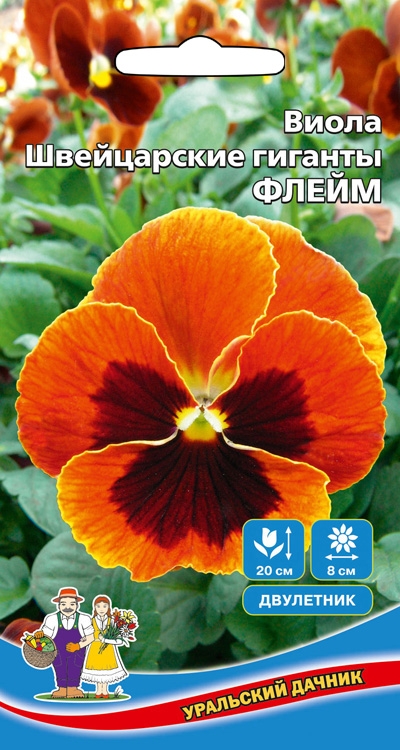 Виола Флейм Швейцарские Гиганты