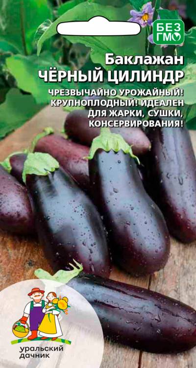 Баклажан Черный цилиндр