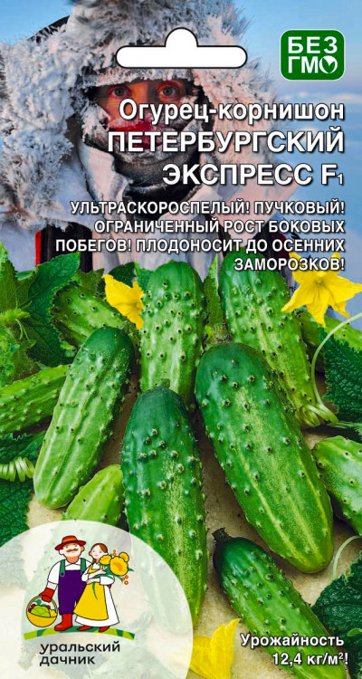 Огурец Петербургский Экспресс - корнишон F1