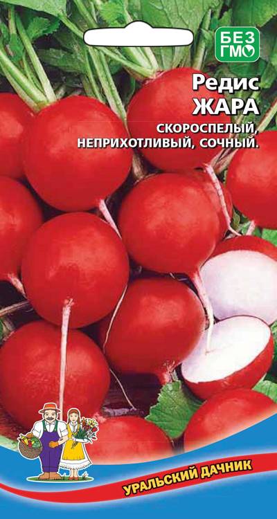 Редис Жара
