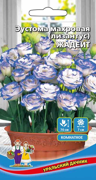 Эустома Жадеит (лизантус) махровая