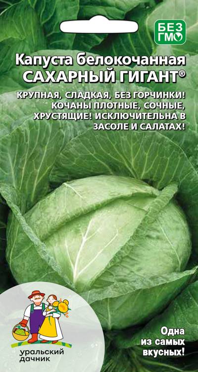 Капуста белокочанная Сахарный гигант