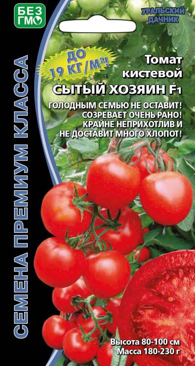 Томат Сытый хозяин - кистевой F1