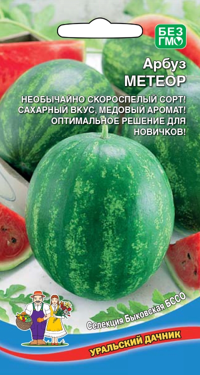 Арбуз Метеор