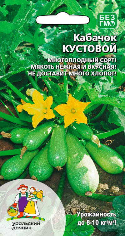 Кабачок Кустовой