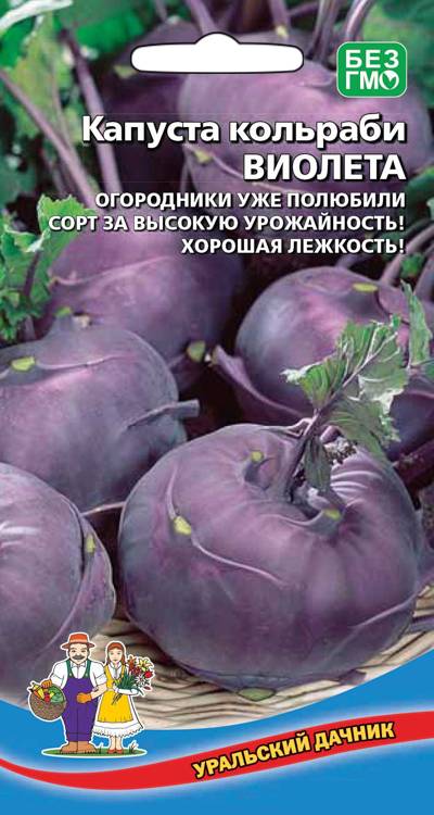 Капуста кольраби Виолета