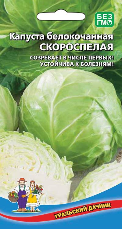 Капуста белокочанная Скороспелая