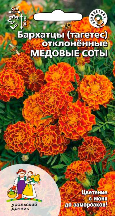 Бархатцы отклоненные Медовые соты
