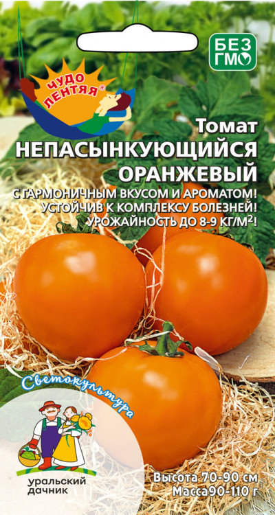 Томат непасынкующийся Оранжевый с носиком