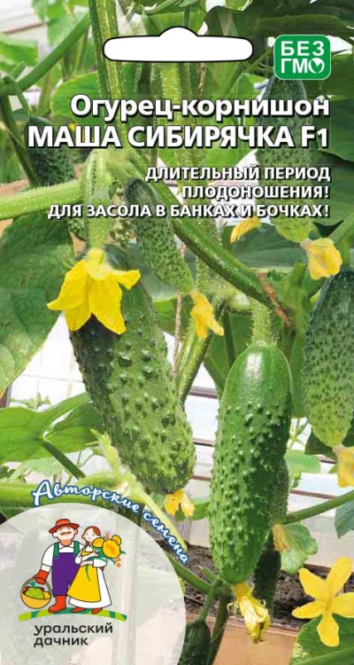 Огурец Маша Сибирячка - корнишон F1