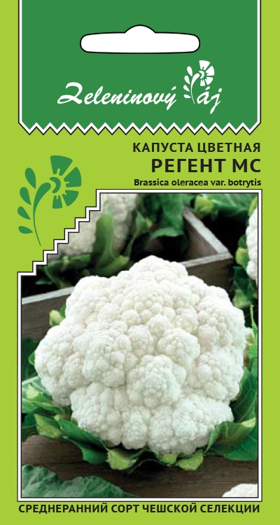 Капуста цветная Регент МС