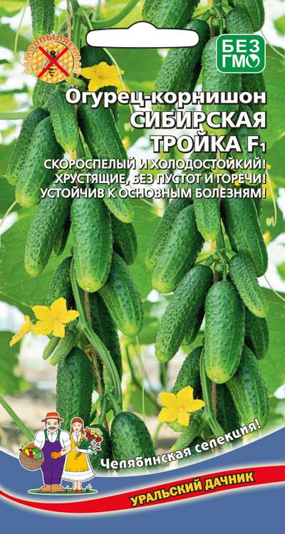 Огурец Сибирская тройка - корнишон F1