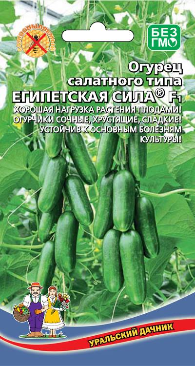 Огурец Египетская сила F1