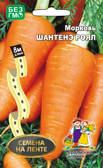 Морковь Шантенэ роял