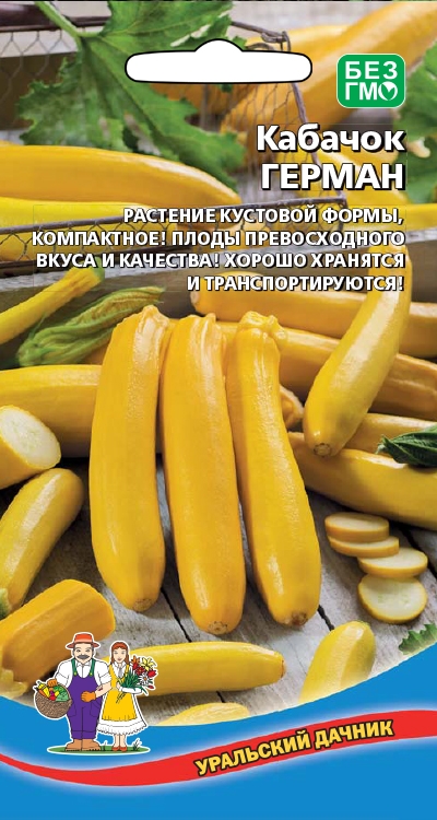 Кабачок Герман