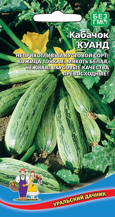 Кабачок Куанд