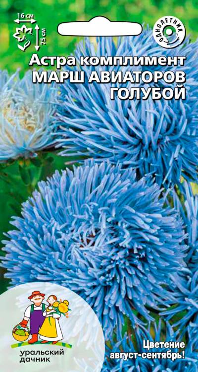 Астра комплимент Марш авиаторов желтый