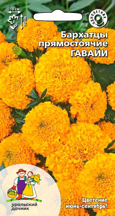 Бархатцы прямостоячие Гавайи
