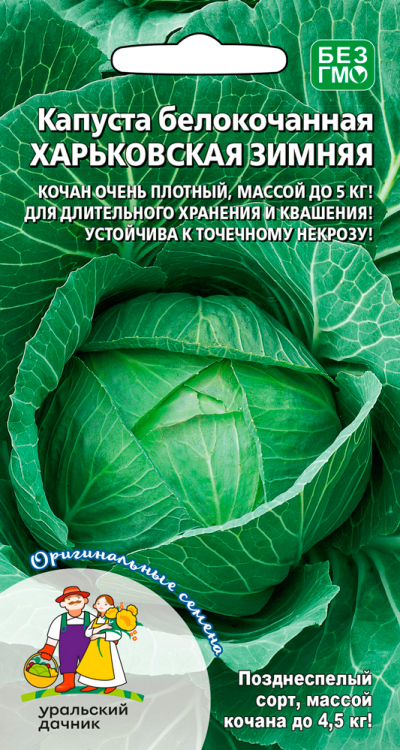 Капуста белокочанная Харьковская зимняя