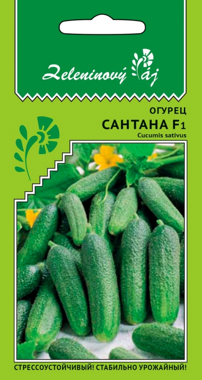 Огурец Сантана F1