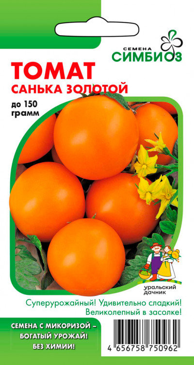 Томат Санька золотой