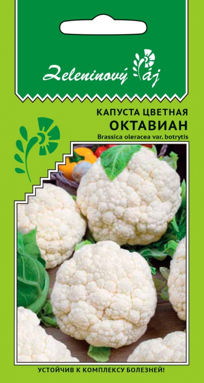 Капуста цветная Октавиан