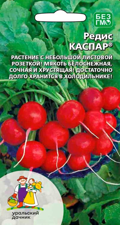 Редис Каспар