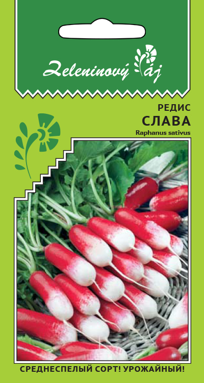 Редис Слава