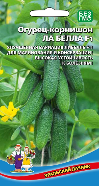 Огурец Ла Белла - корнишон F1